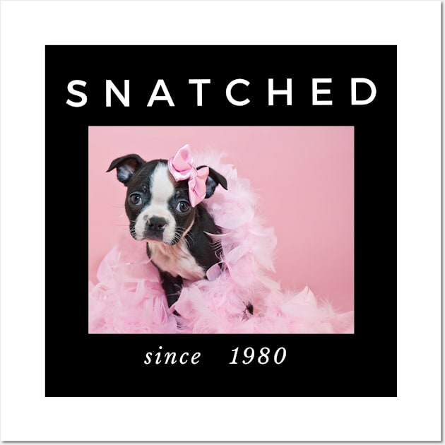 1980 Millennial Snatched Boston Terrier Dog Lover Wall Art by familycuteycom